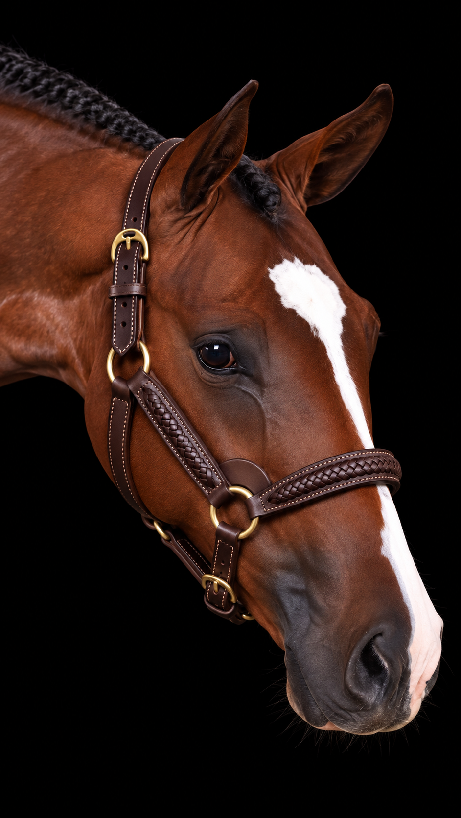 Braided Havana Horse Size English Show Halter (Brass)