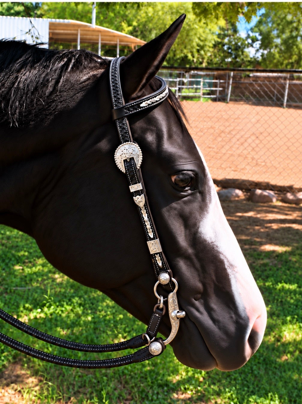 Fairytail Leather Co Black Kangaroo Lace Headstall