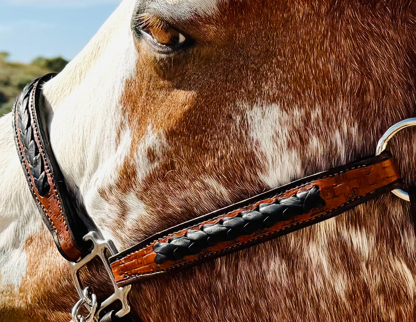 Fairytail Leather Co Ranch Halter