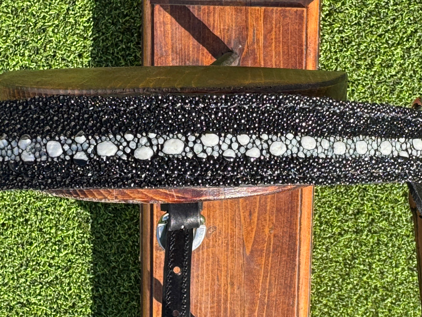 Fairytail Leather Black Stingray Halter, Yearling