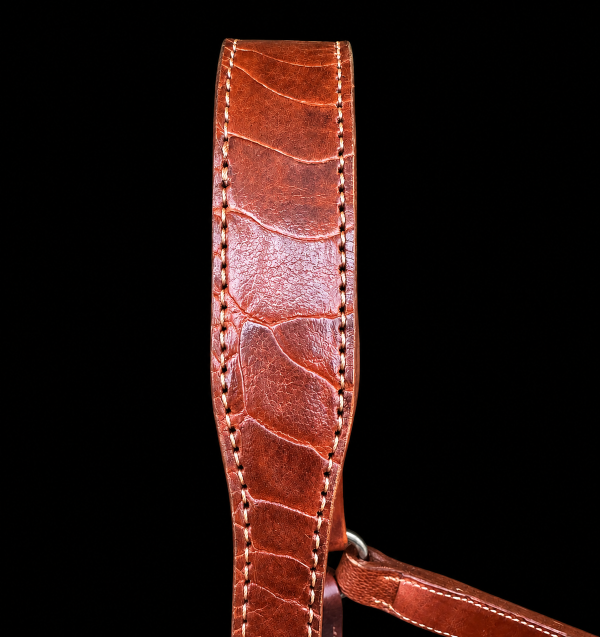 Fairytail Leather Co Ostrich Leg Halter
