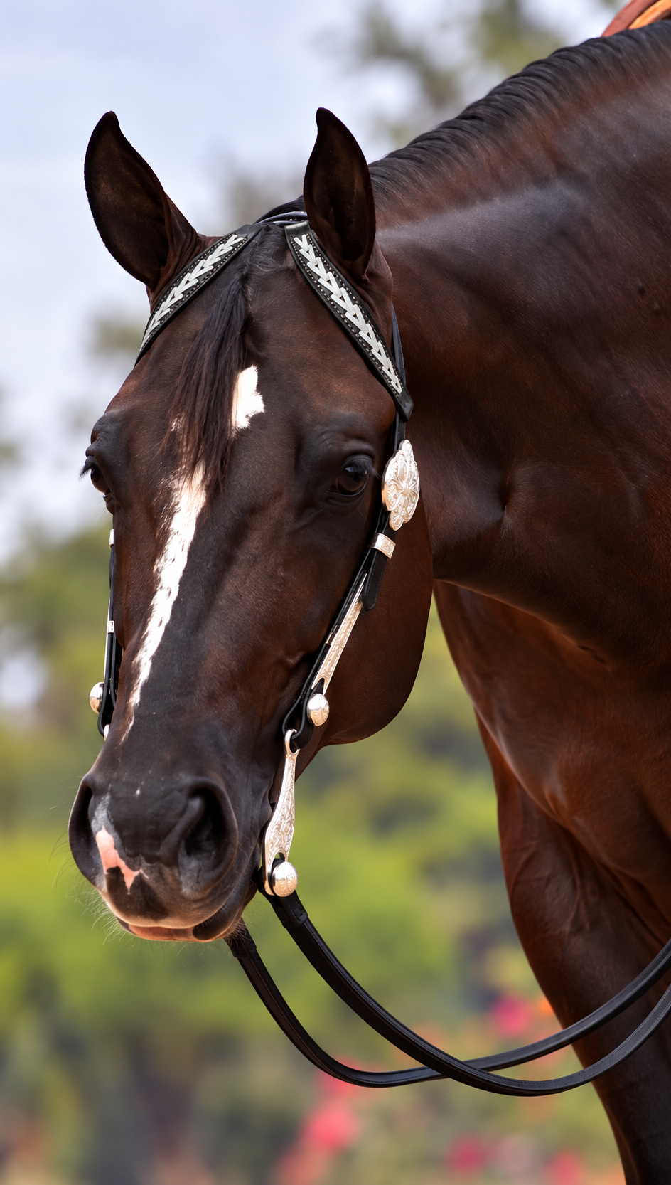 Fairytail Leather Black Headstall