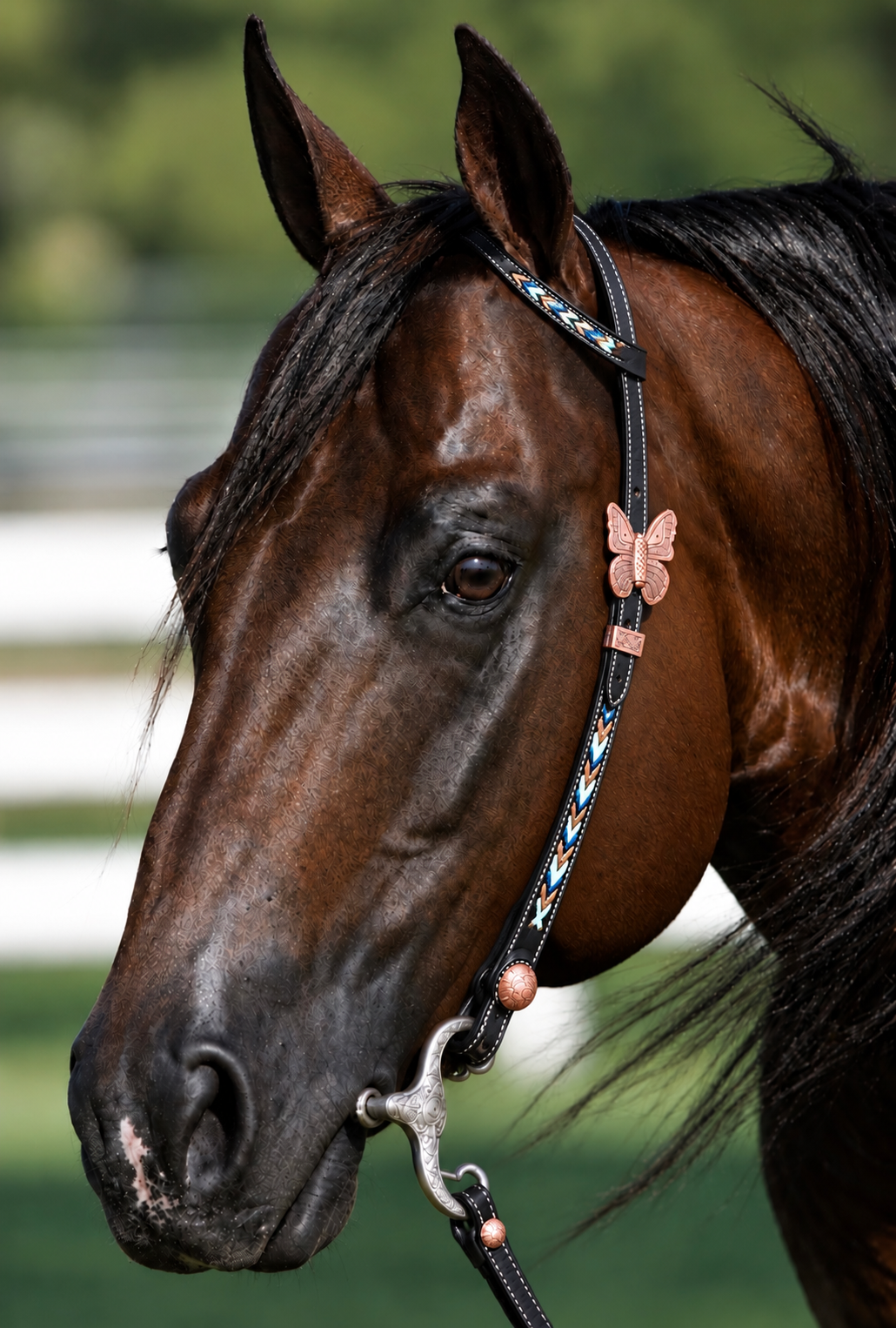 Fairytail Leather Co Kangaroo Lace Headstall