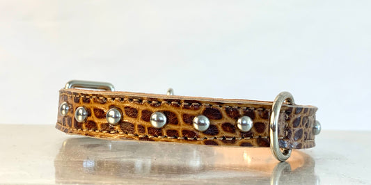 Fairytail Leather Co Whiskey Croc Designer Dog Collar, 11.5”-14.5”