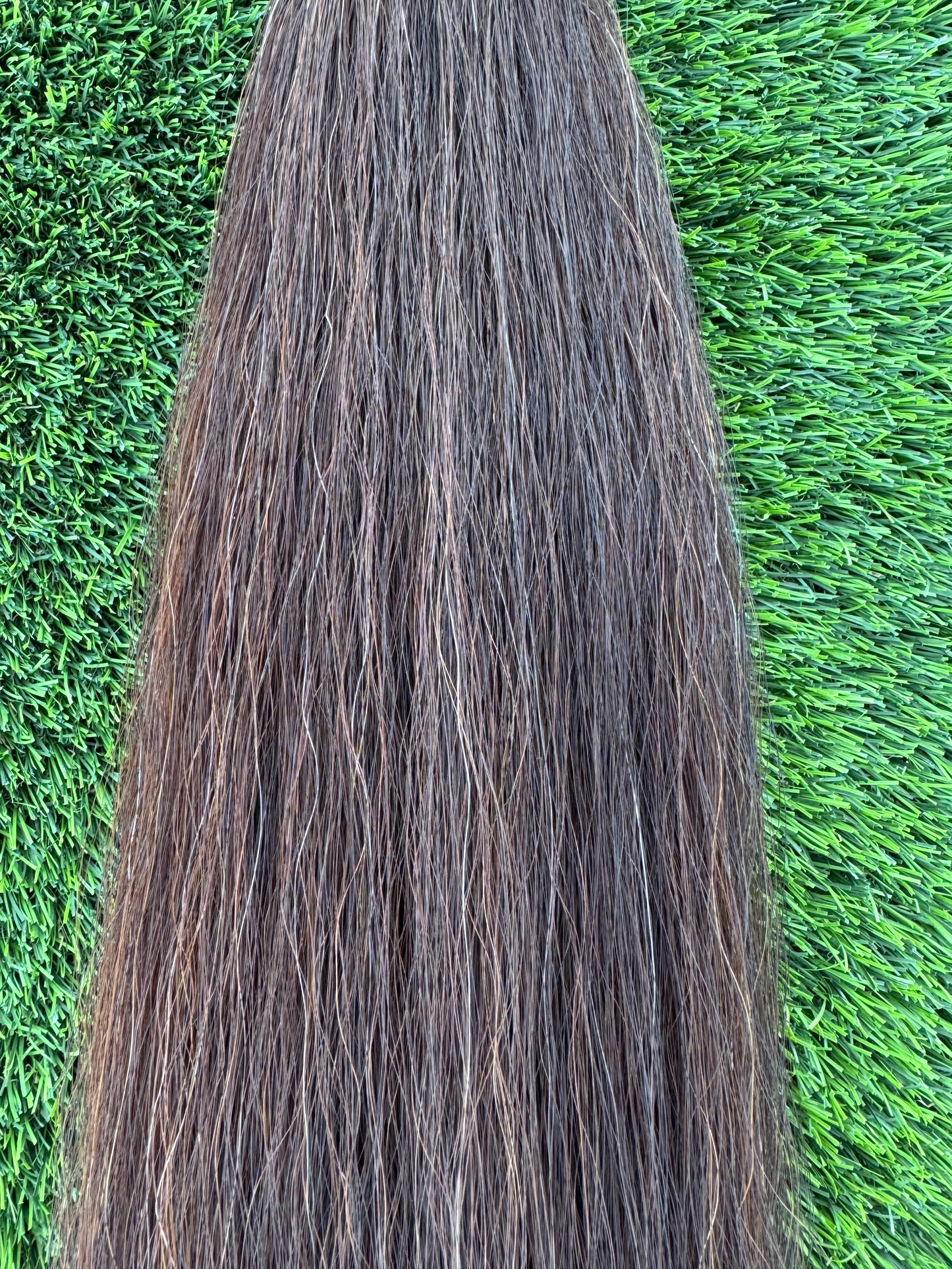 Dark Sorrel Tail Extension, 2 lbs, 39”, Weight Setup