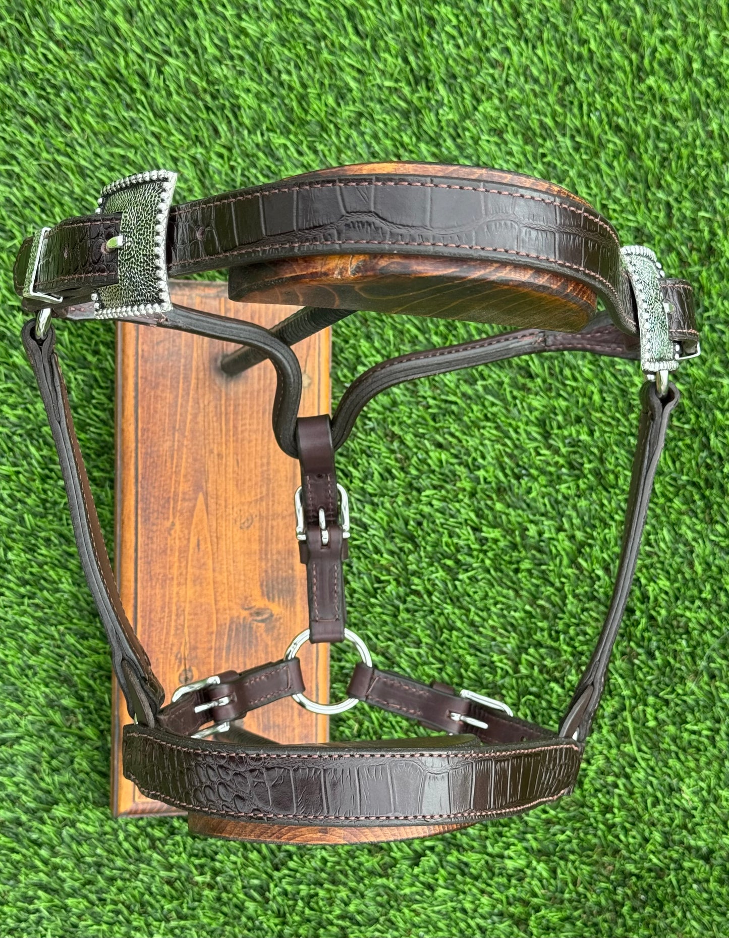 Brown Horse Size Crocodile Embossed Halter