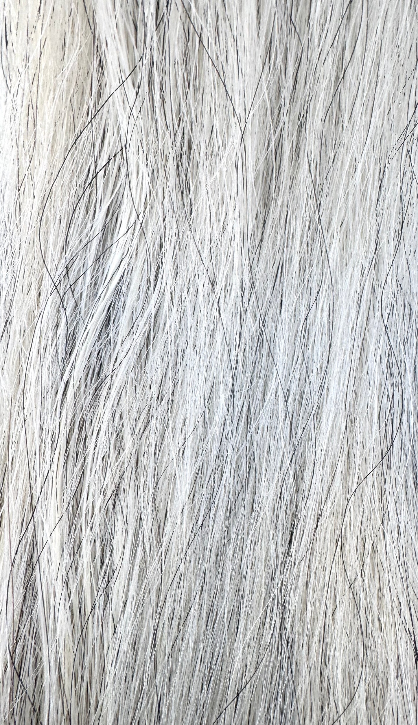 1 lb Extra Light Gray (w/White) Tail Extension With Weight Setup, 29”