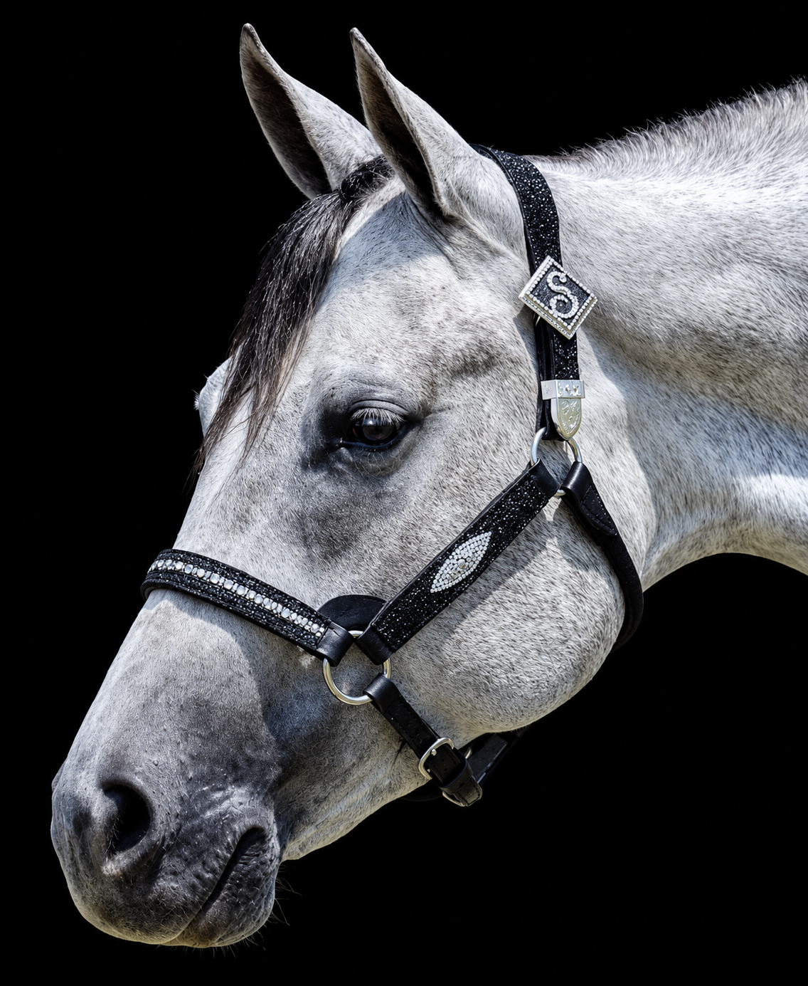 Fairytail Leather Black Stingray Halter, Yearling