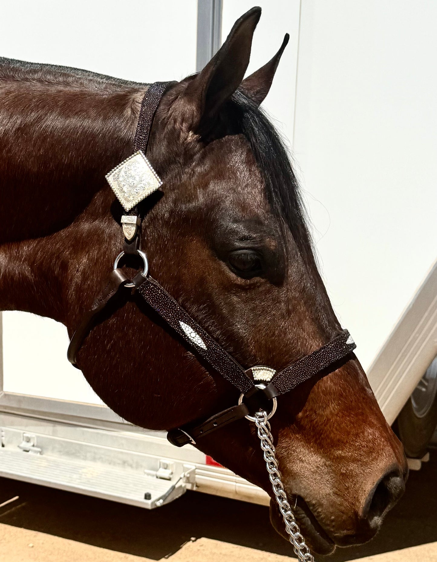 Fairytail Leather Chocolate Stingray Halter