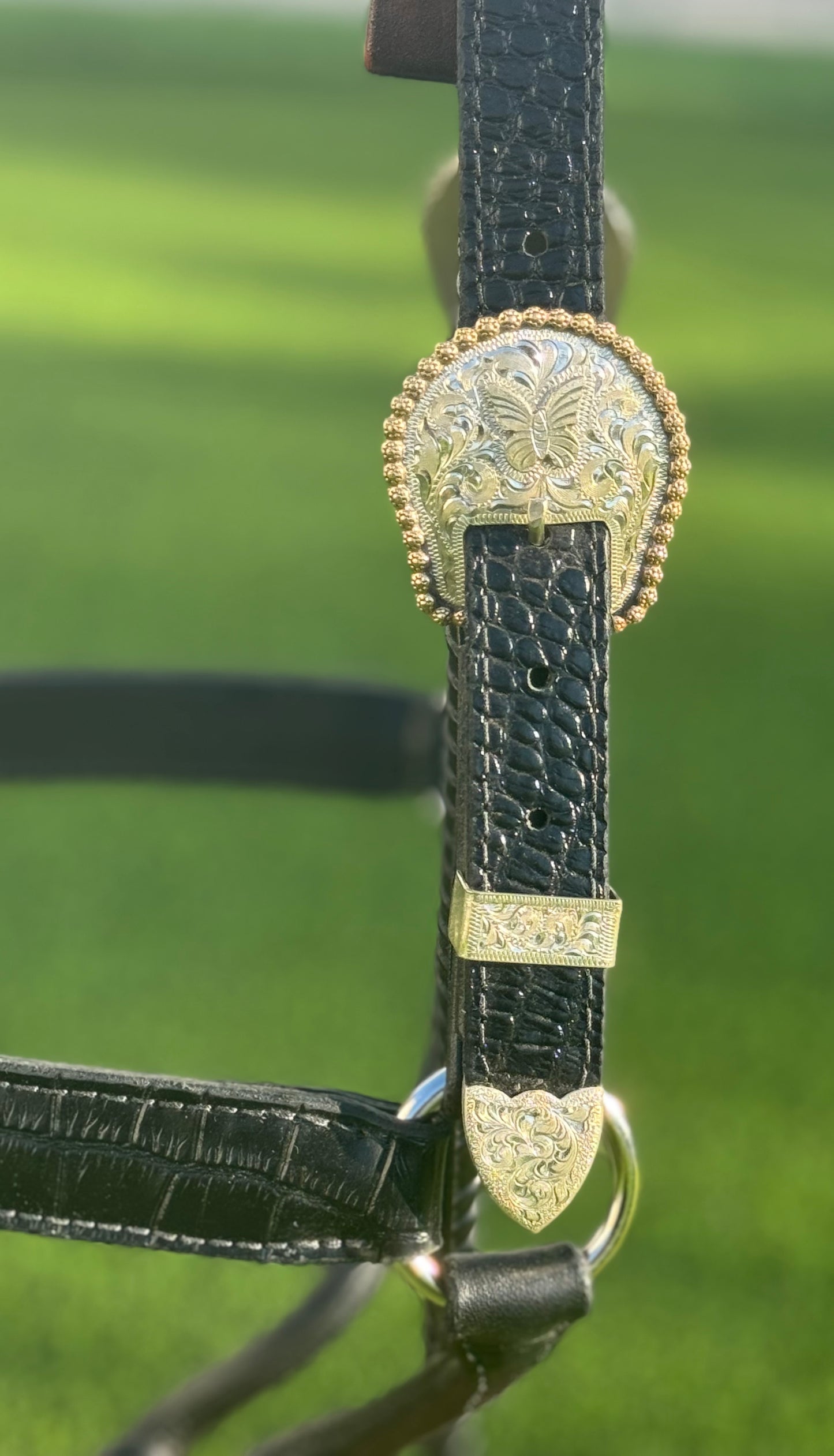 Black Large Horse Size Halter with Silver Overlay Butterfly Buckles