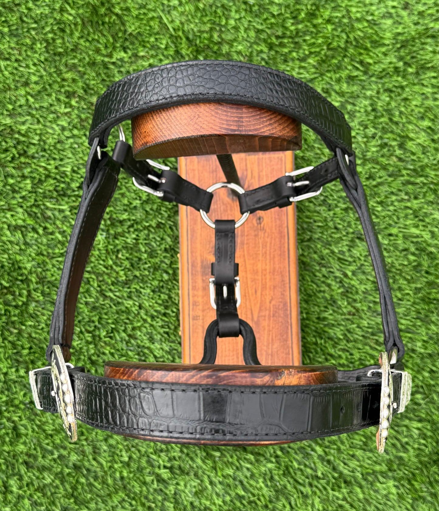 Black Cob/2YO Size Crocodile Embossed Halter