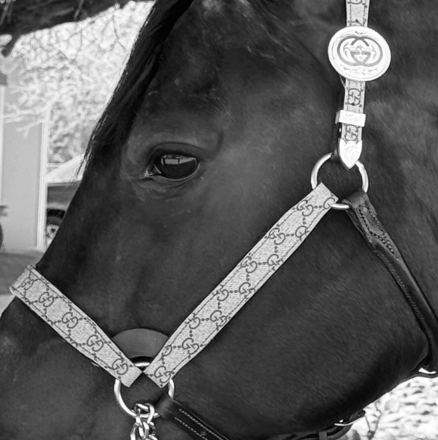 Fairytail Leather Co Brown Designer Halter