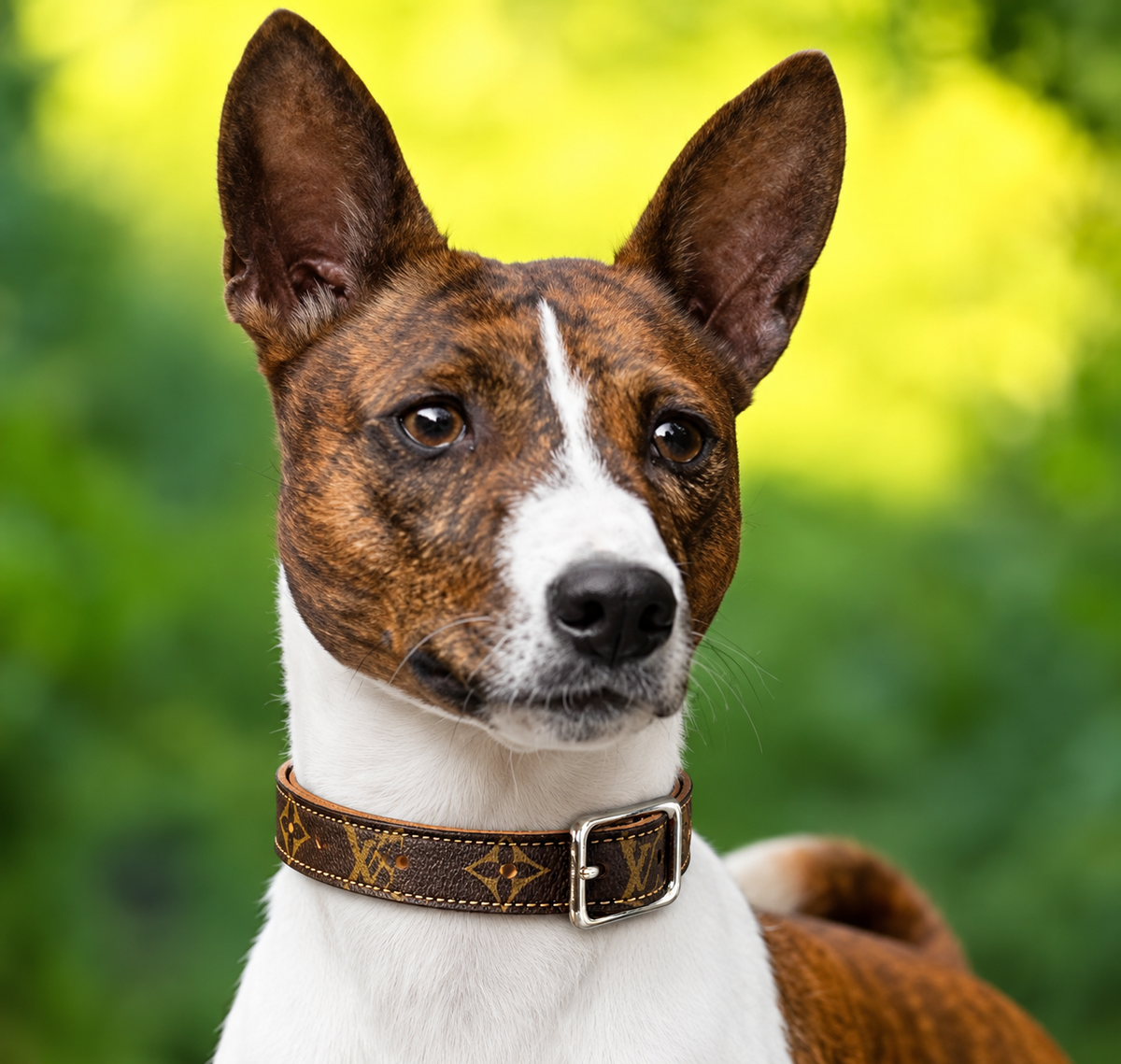Fairytail Leather Co Brown and Tan Designer Dog Collar, 15.5”-18”