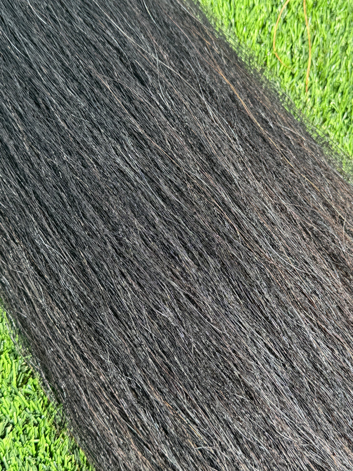 Natural Black Tail Extension, 2Lb, 37”, Setup for Weights
