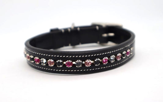 KL Select Blackberry Dog Collar, Multiple Sizes