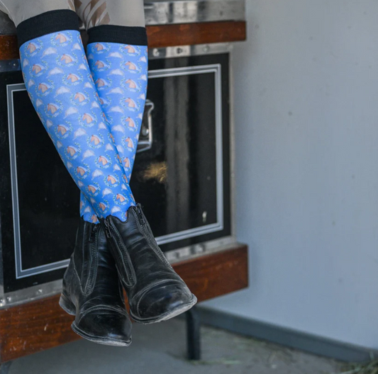 Dreamers & Schemers Derby Blue Pair & a Spare Socks