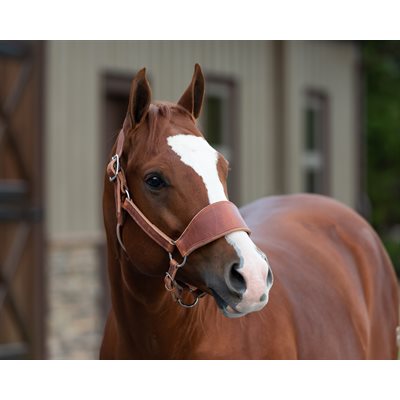 Leather Ranch Halter