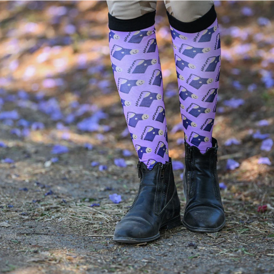 Dreamers & Schemers Sock Pony Pair & a Spare Socks