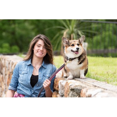 Perri's® Padded Leather Dog Leash, 5' X 3/4” - Multiple Color Options
