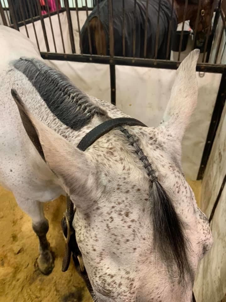 Super Bands by Healthy HairCare, Gray