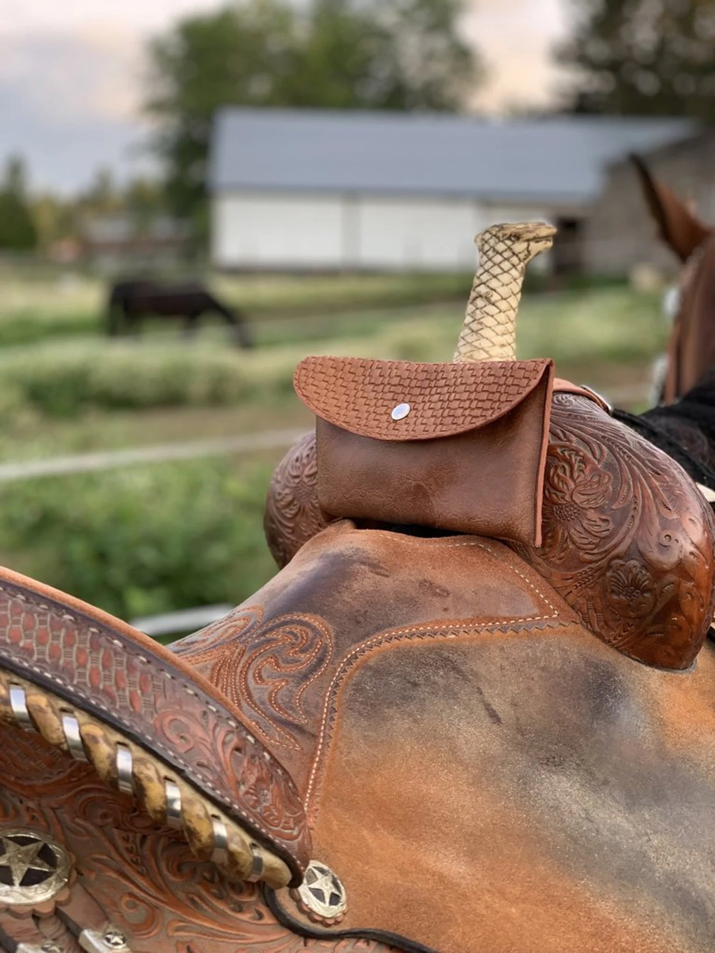 Saddle Pommel Bag Cell Phone Holder, Black or Brown