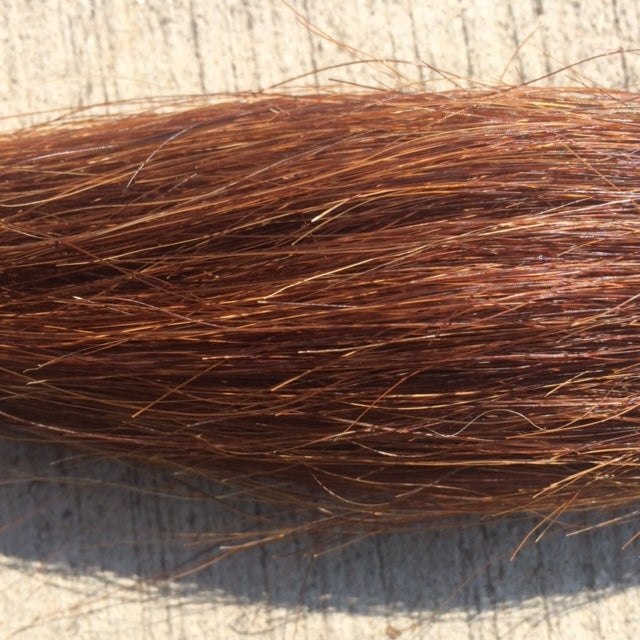 Sorrel Show Tail Extension