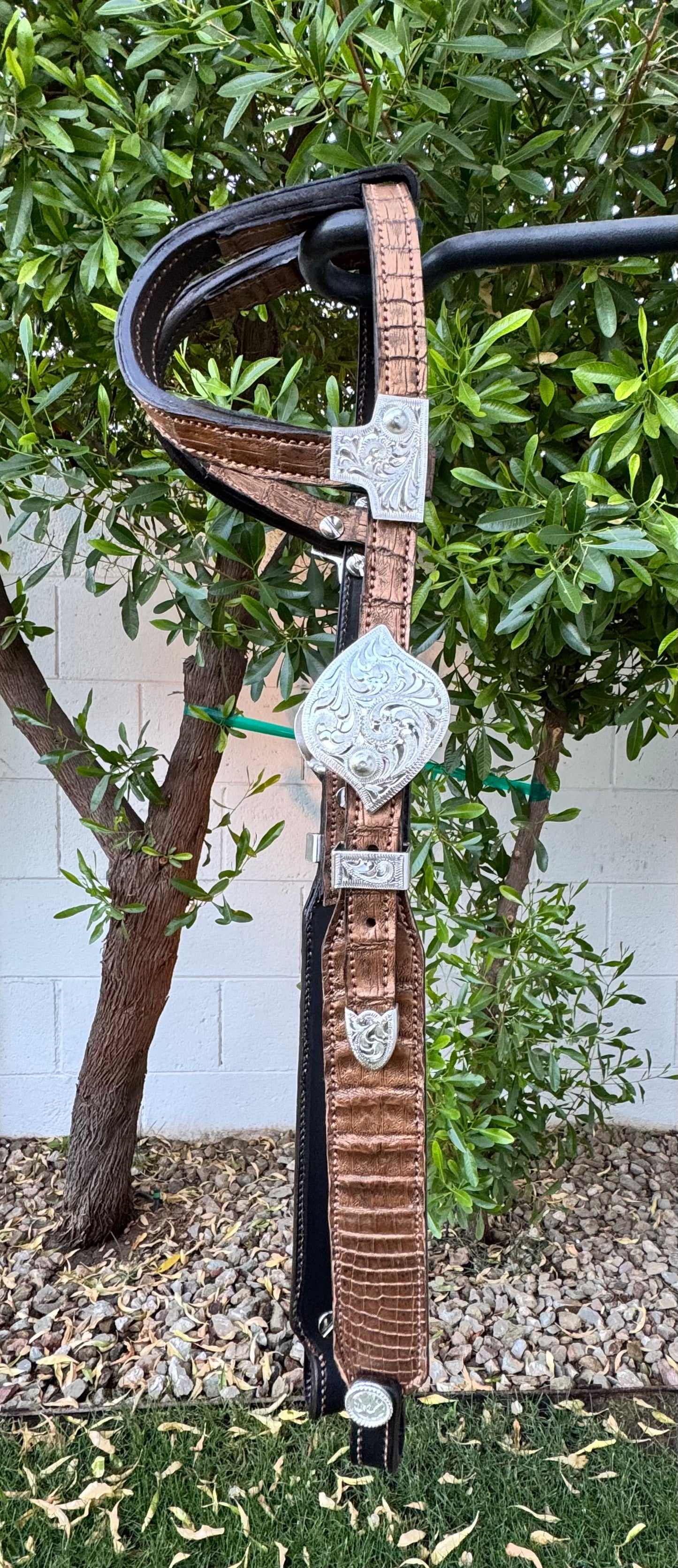 Fairytail Leather Gold Caiman Headstall
