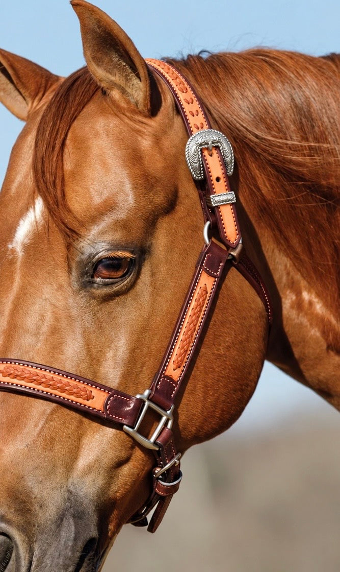 Fairytail Leather Co Ranch Halter