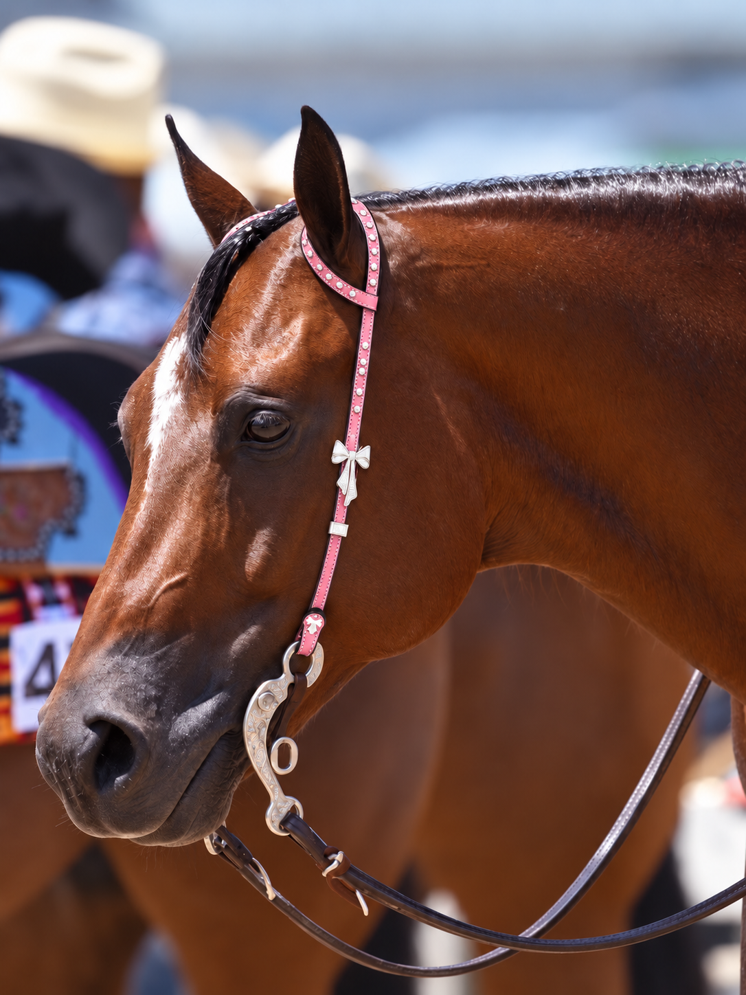 Fairytail Leather Co Dusty Pink Eel Headstall