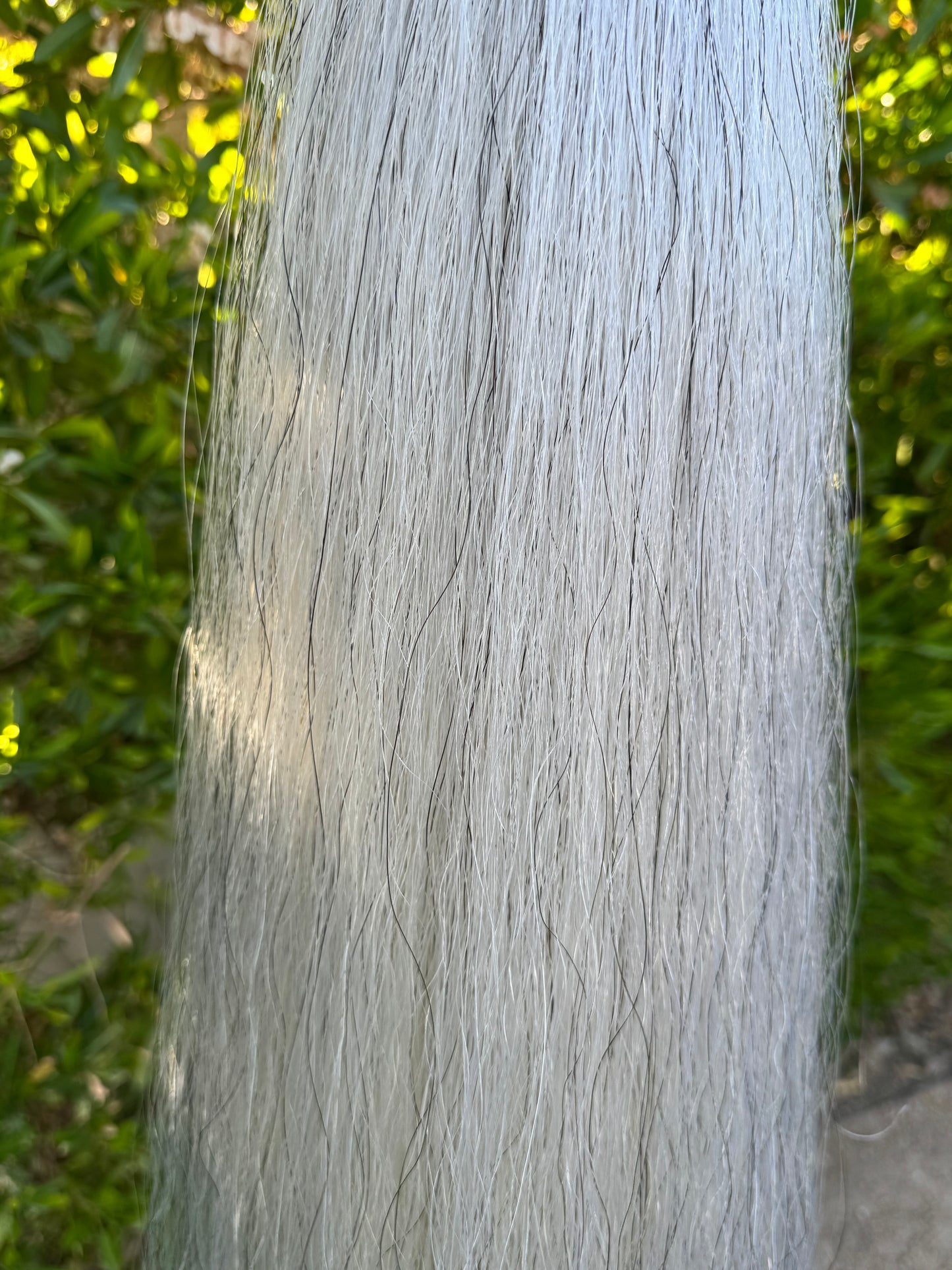 1 lb Extra Light Gray (w/Pure White) Tail Extension With Weight Setup, 30”