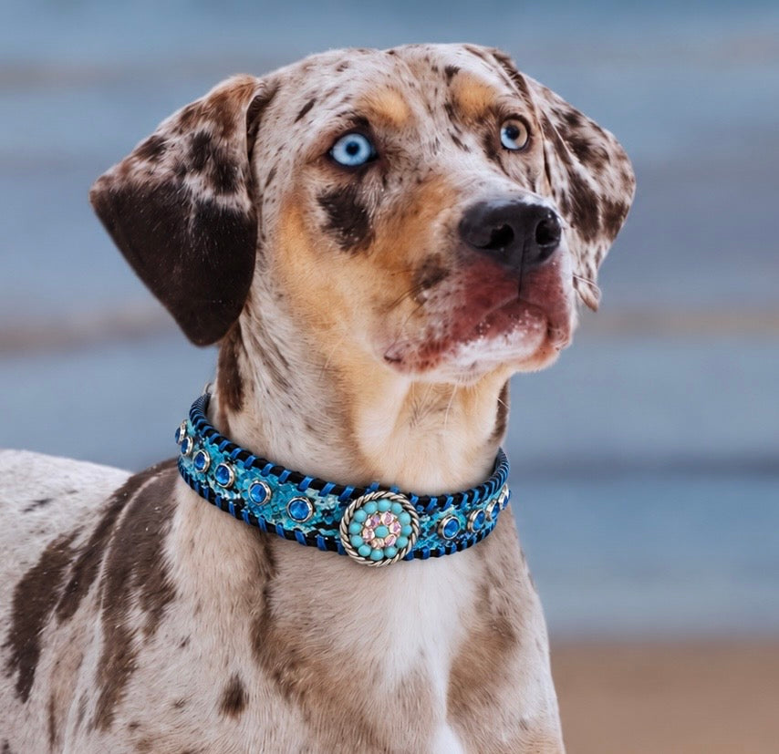 Fairytail Leather Blue Dog Collar, 16”-19”