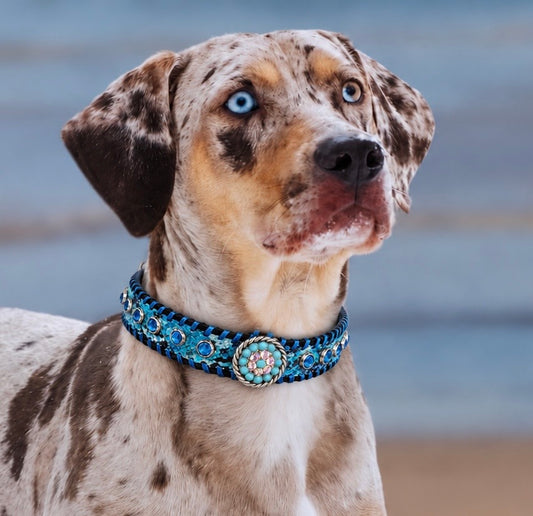 Fairytail Leather Blue Dog Collar, 16”-19”