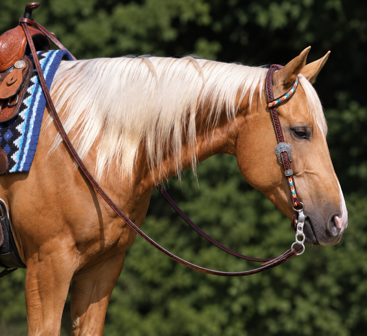Fairytail Leather Co Kangaroo Lace Ranch Headstall