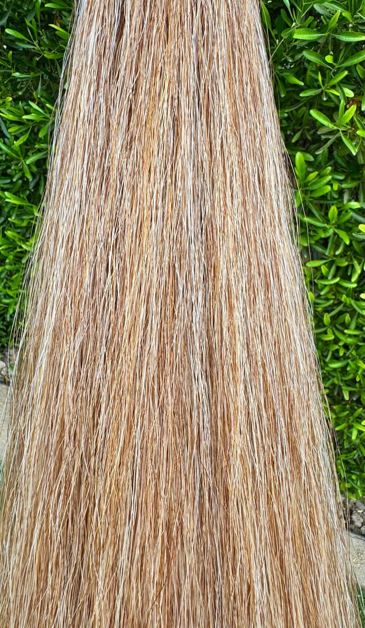 Light Sorrel Flaxen Tail Extension, 38”, 1 Lb