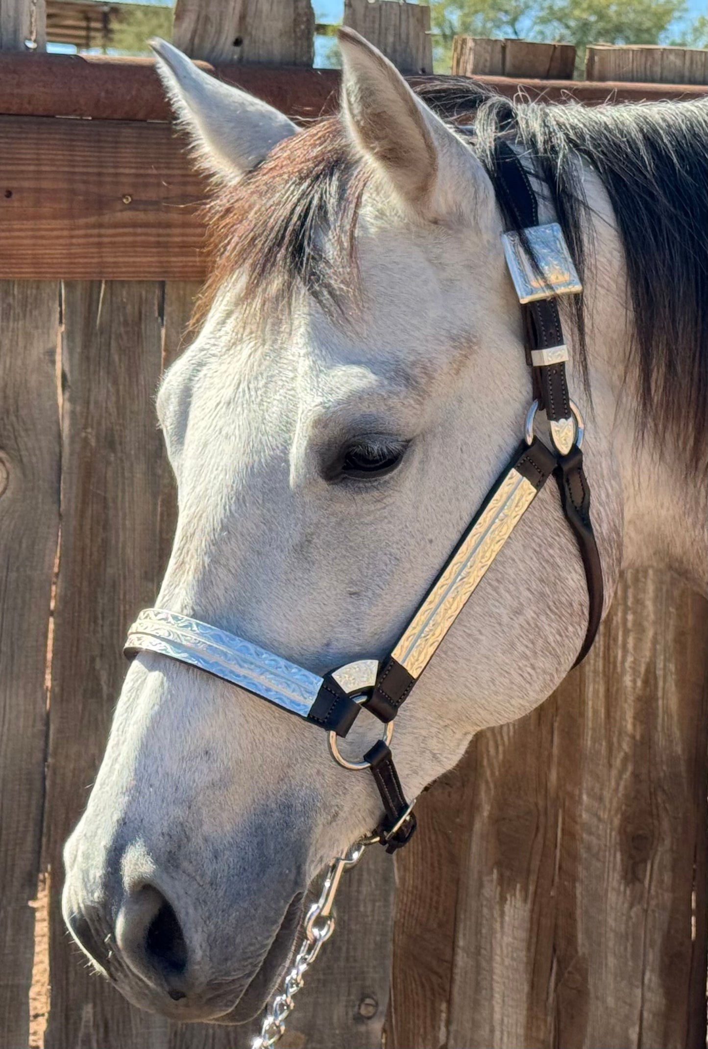 Fairytail Leather Co Brown Halter with Full Silver