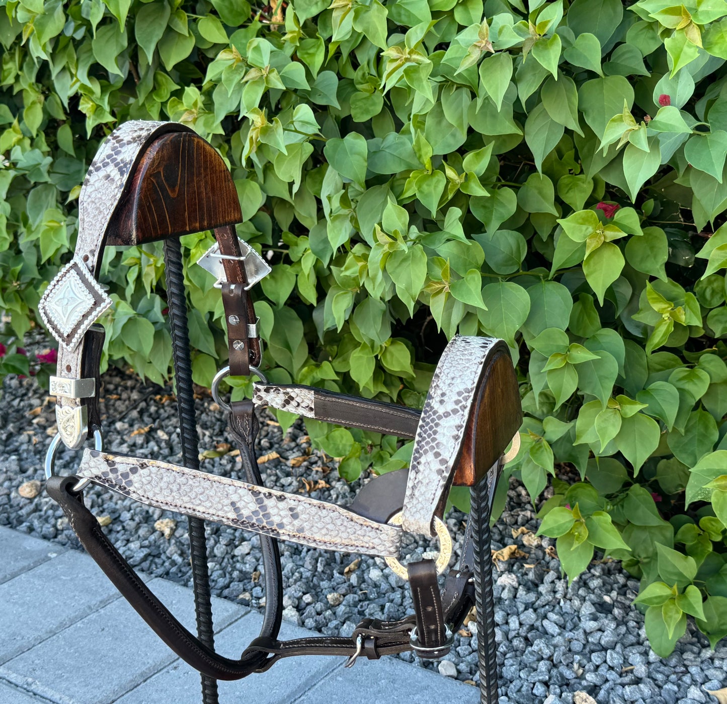 Fairytail Leather Co Python Halter