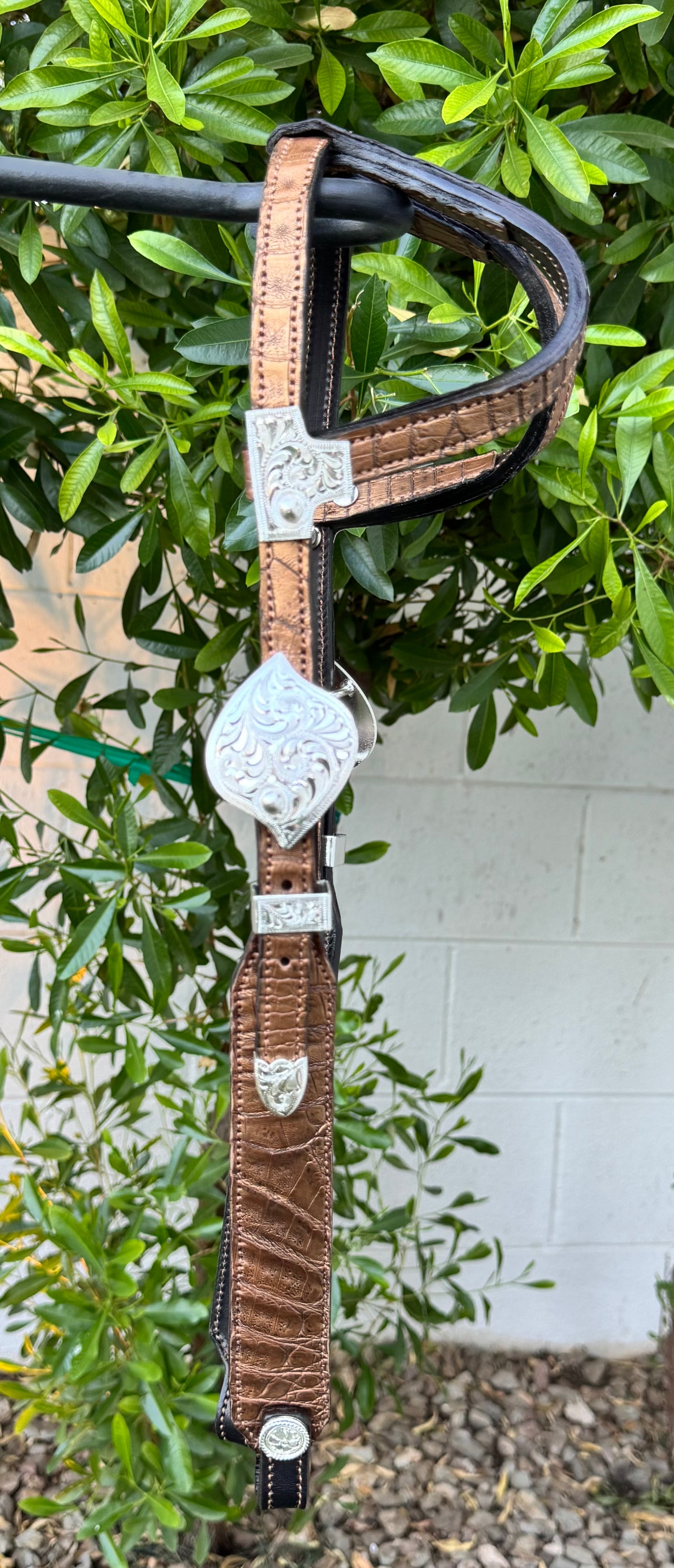 Fairytail Leather Gold Caiman Headstall