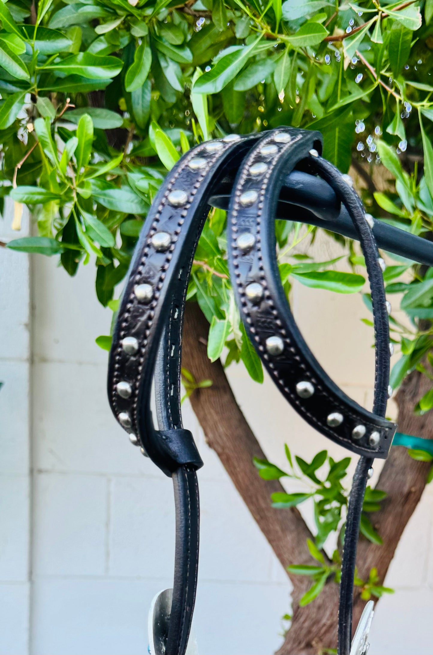 Fairytail Leather Chocolate Headstall