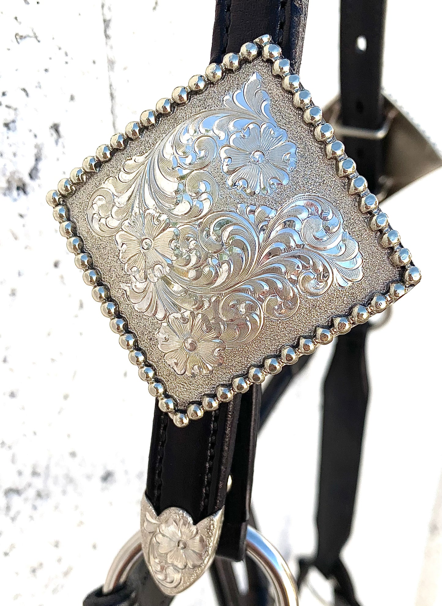 Black Horse Size Congress Cut Halter with Sterling Silver Buckles