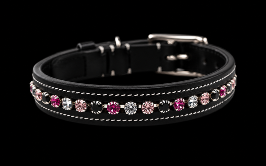 KL Select Blackberry Dog Collar, Multiple Sizes