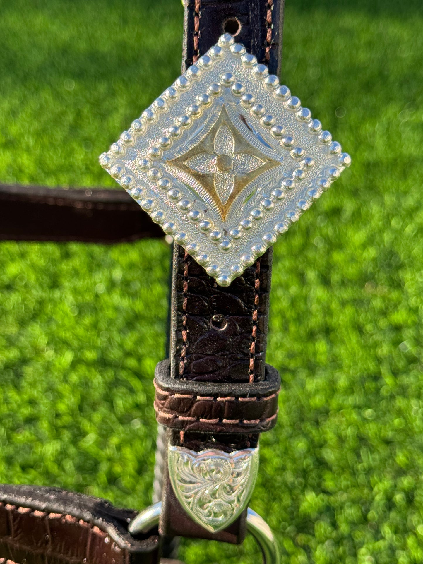 Brown Horse Size Crocodile Embossed Halter