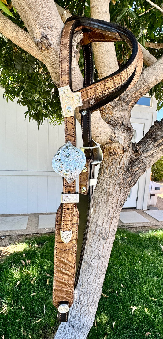 Fairytail Leather Gold Caiman Headstall