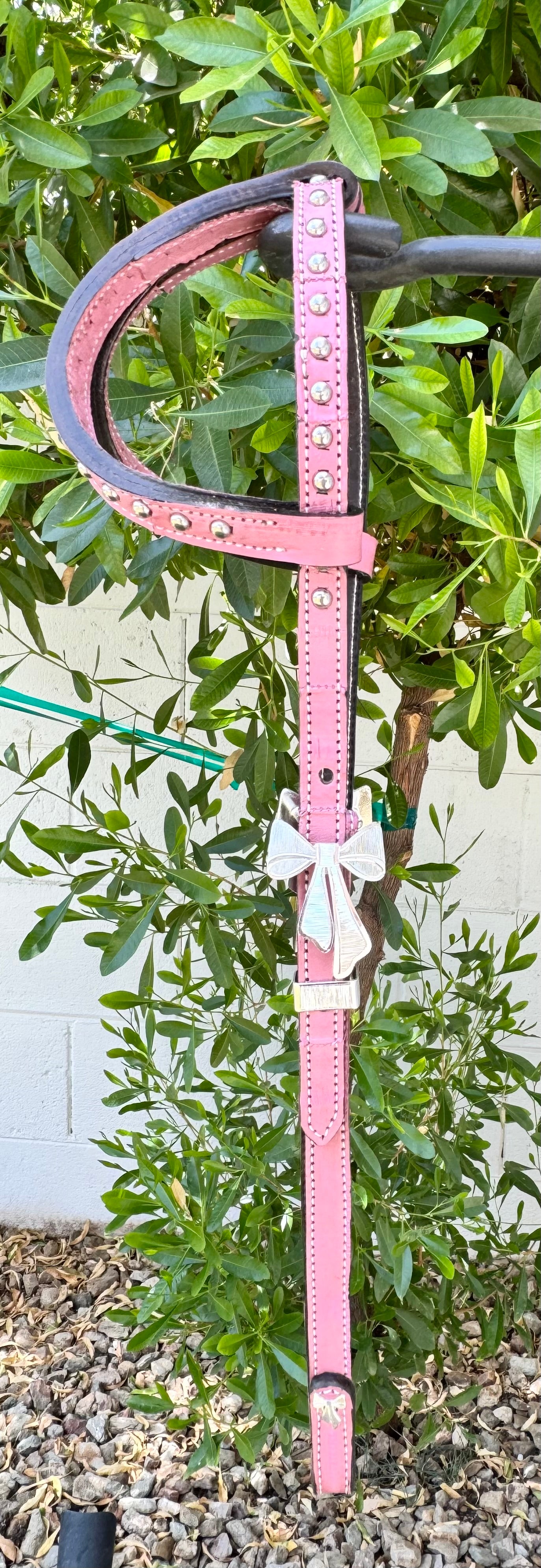 Fairytail Leather Co Dusty Pink Eel Headstall