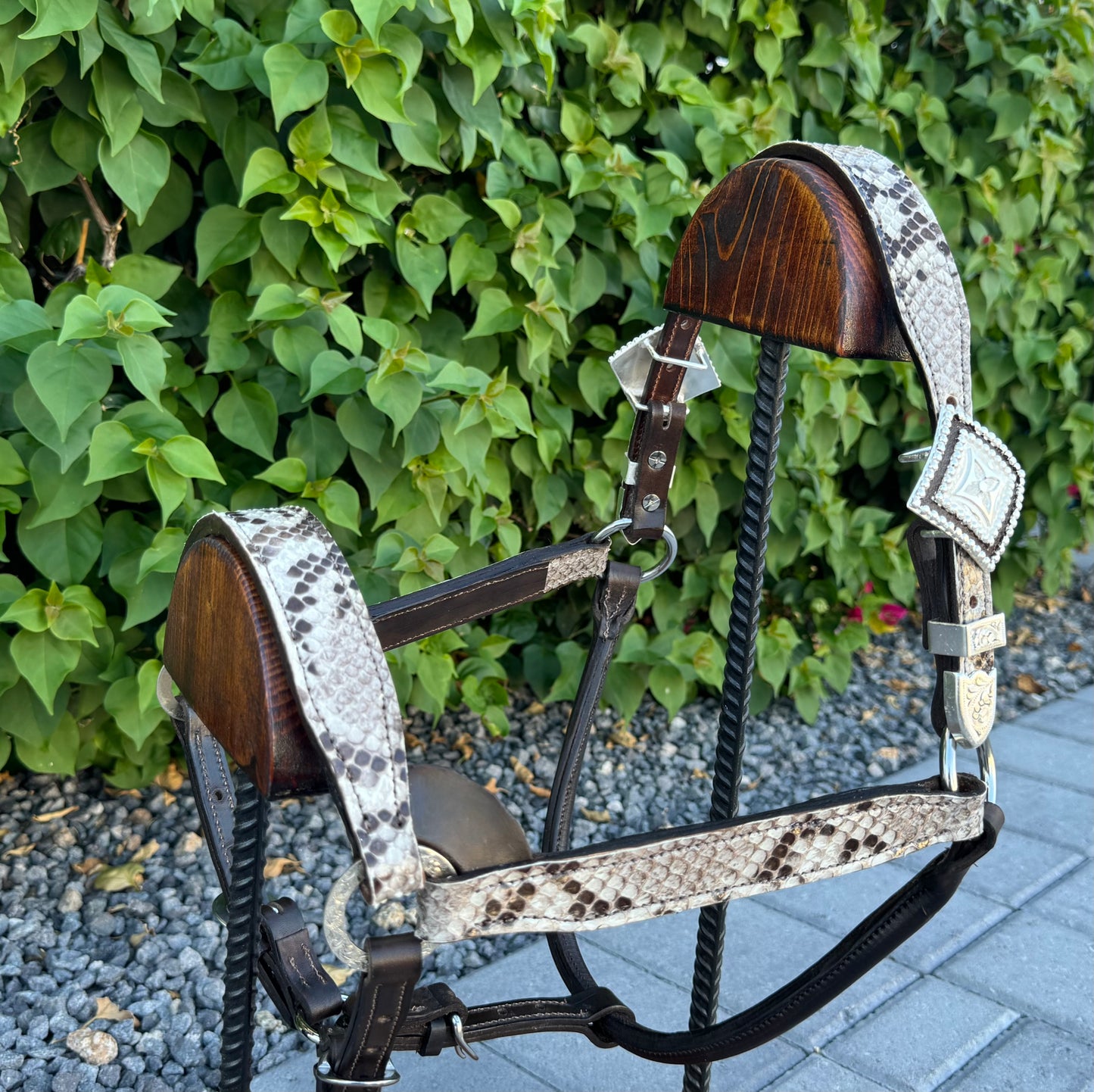 Fairytail Leather Co Python Halter