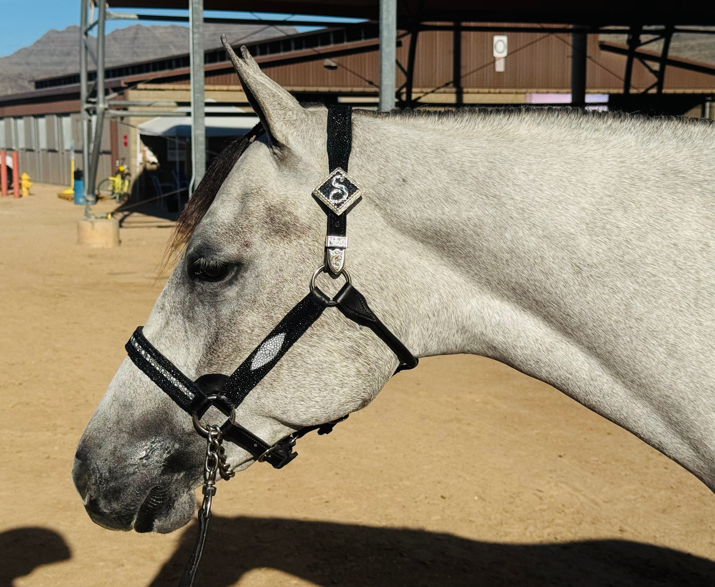 Fairytail Leather Black Stingray Halter, Yearling