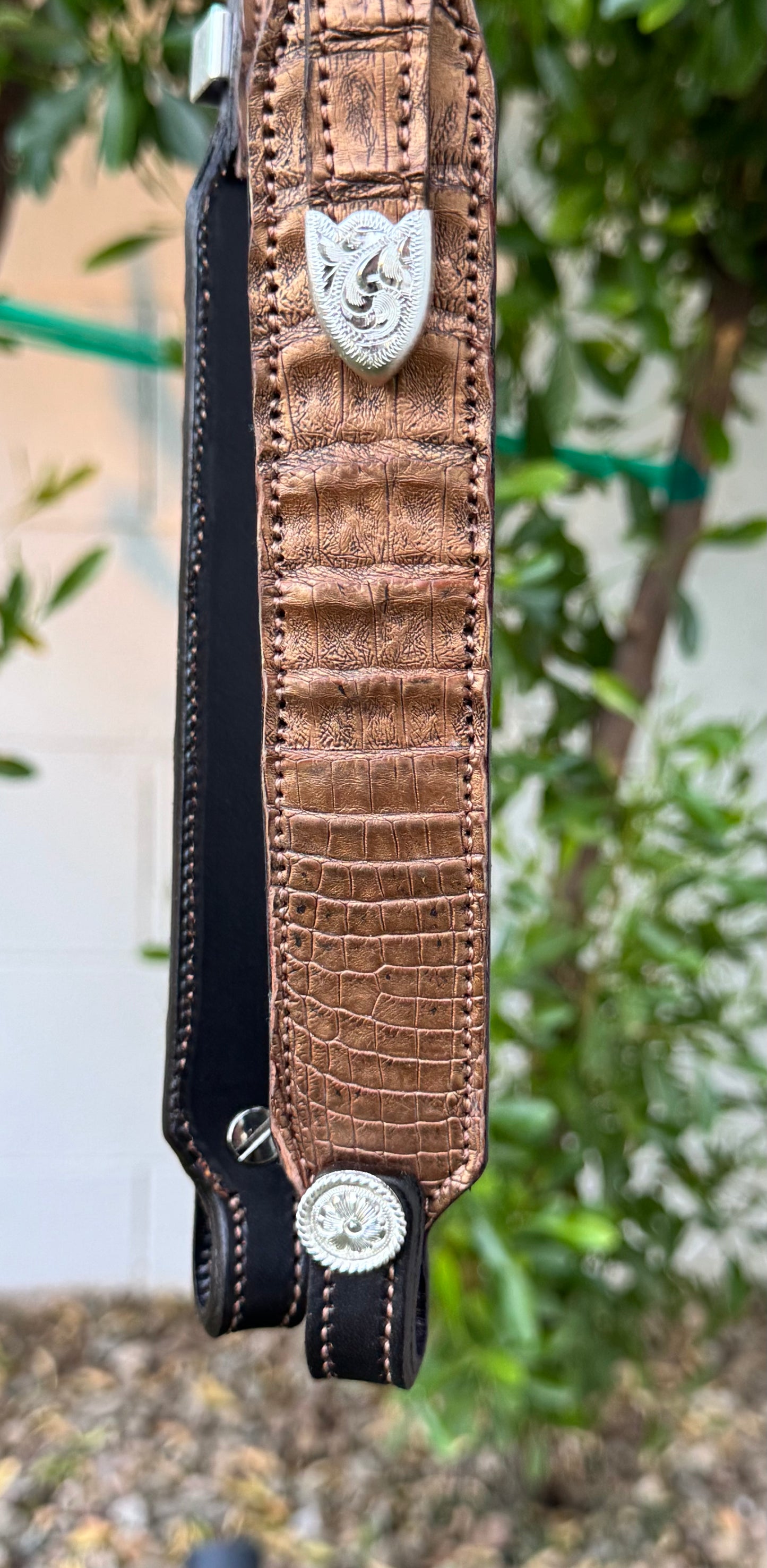 Fairytail Leather Gold Caiman Headstall