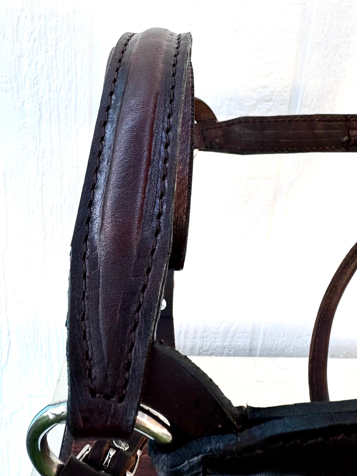 Havana Yearling Padded English Show Halter