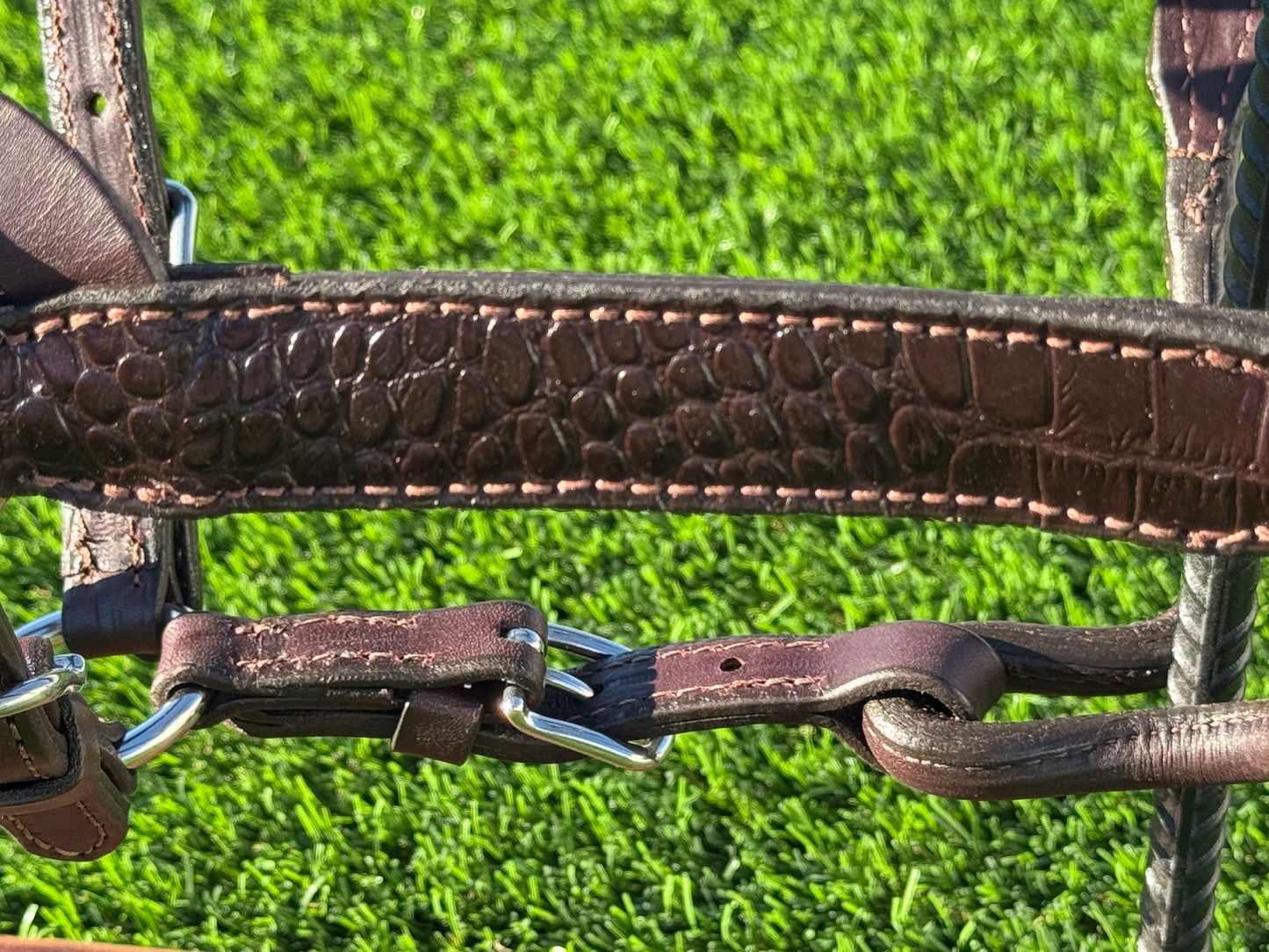 Brown Horse Size Crocodile Embossed Halter