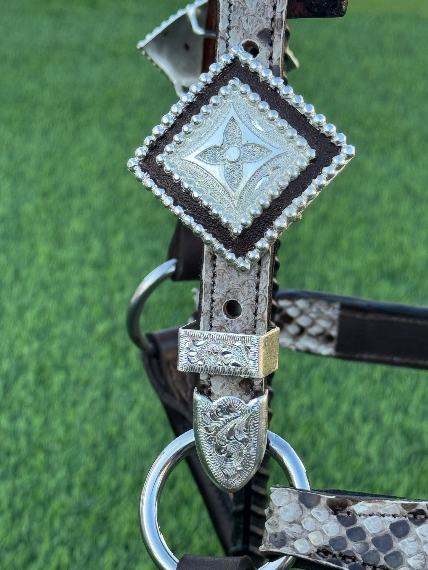 Fairytail Leather Co Python Halter