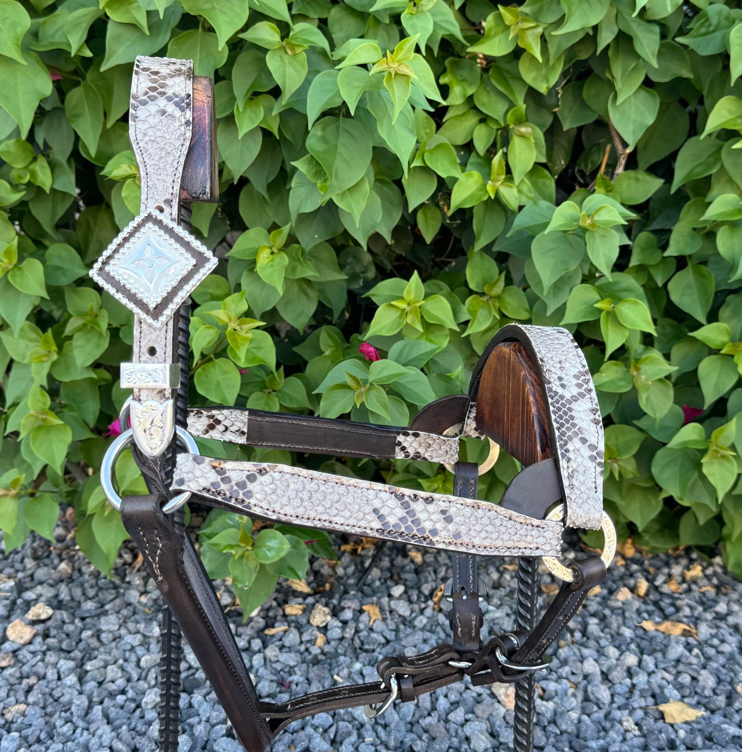 Fairytail Leather Co Python Halter